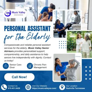 Personal Assistant for the Elderly